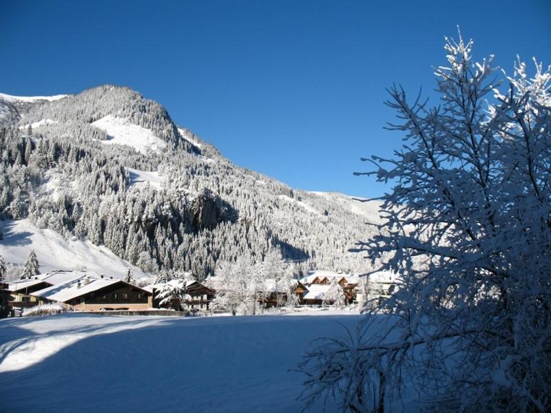 Zimmer & Appartements Schwarzenbacher Sonja & Konrad 克雷纳尔 外观 照片